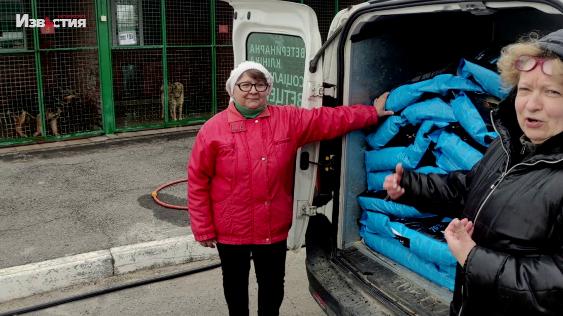 Харьковским кошкам и собакам помогают украинские и международные фонды