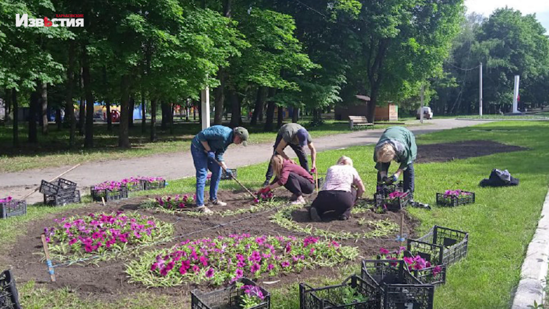 В Харькове проводятся работы по благоустройству парка Машиностроителей (видео)