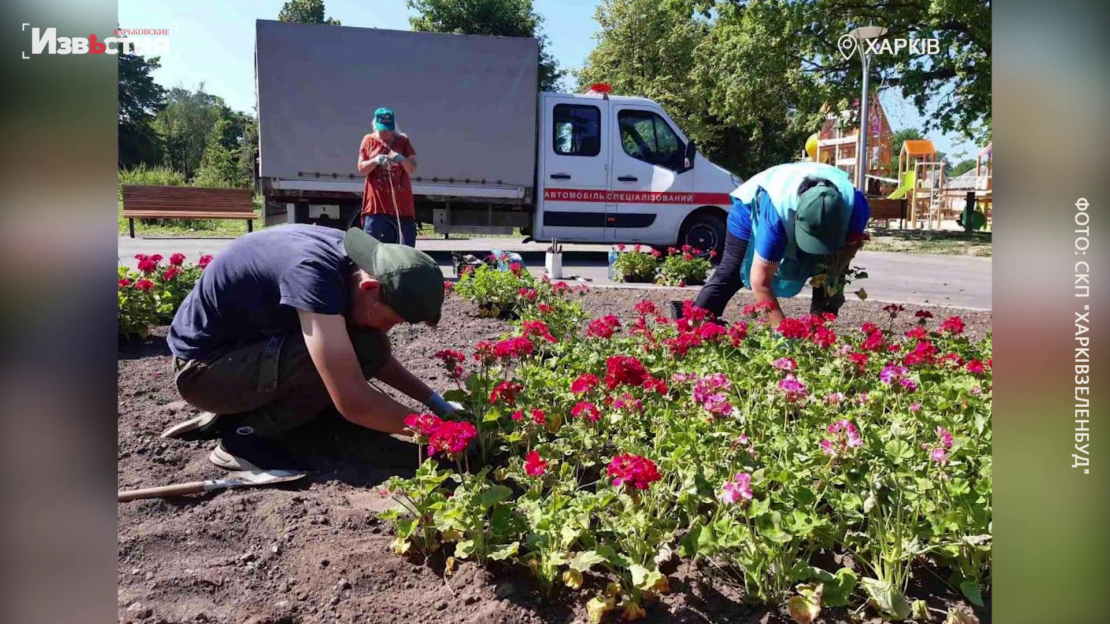 В Новобаварском районе работники СКП «Харьковзеленстрой» работают над красотой улиц нашего города (видео)