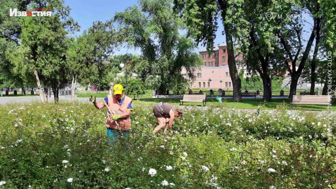 Прибирання у Харкові проводиться по всіх районах міста (відео)