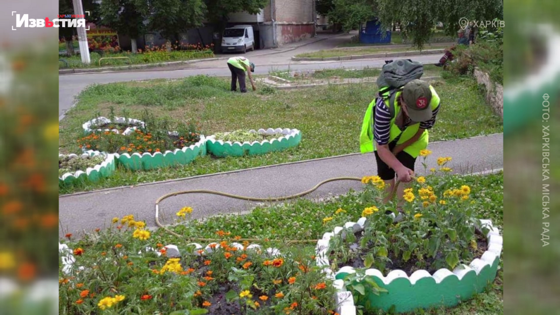 Співробітники КП "Харківблагоустрій" підтримують чистоту та порядок на прибудинкових територіях (відео)