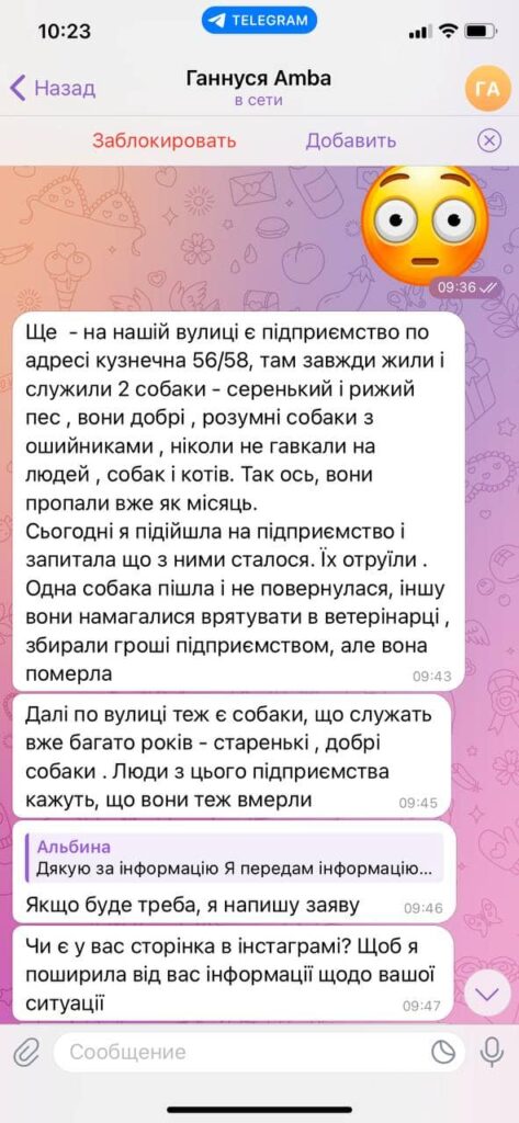 Опікувався котами та труїв собак: У Харкові викрили догхантера 