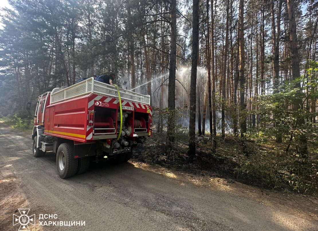 На Харківщині рятувальники гасять 280 га лісових пожеж — ДСНС