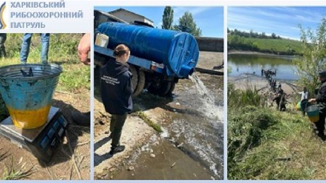 На Харківщині зарибили Берекське водосховище