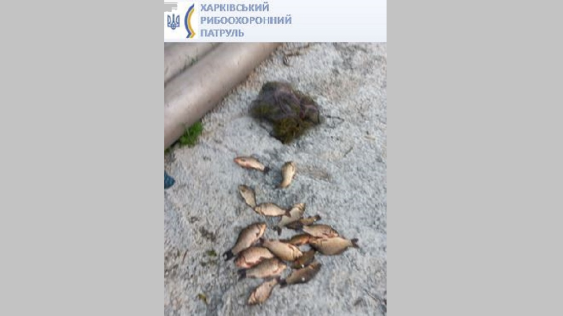 На Журавлівському водосховищі у Харкові викрили браконьєра з уловом