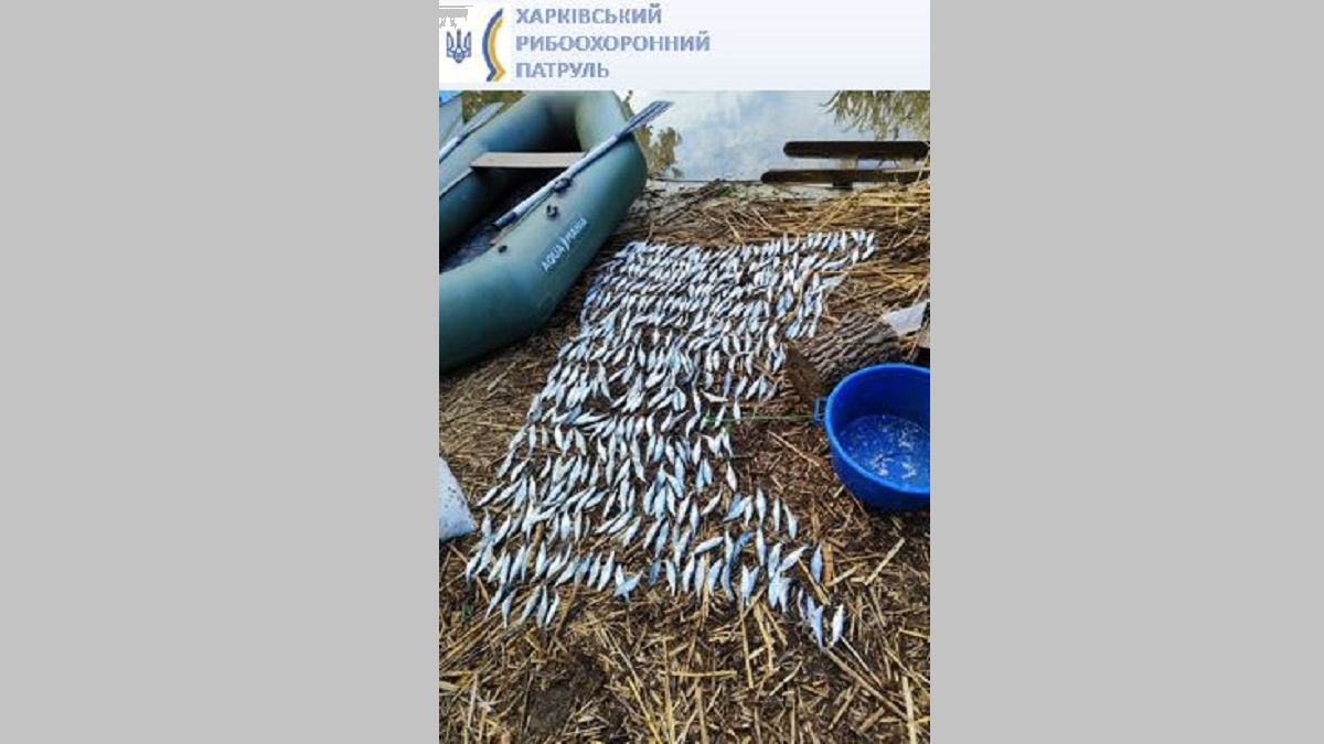 На Печенізькому водосховищі затримали браконьєра