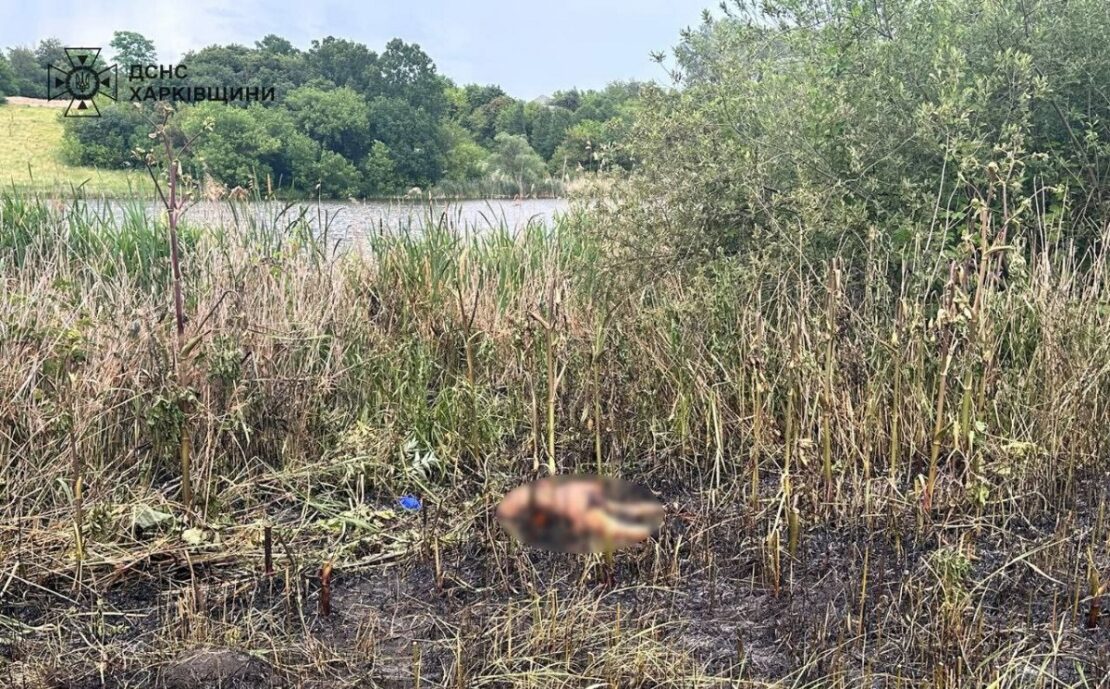У селі на Харківщині загинула жінка, яка підпалила суху траву