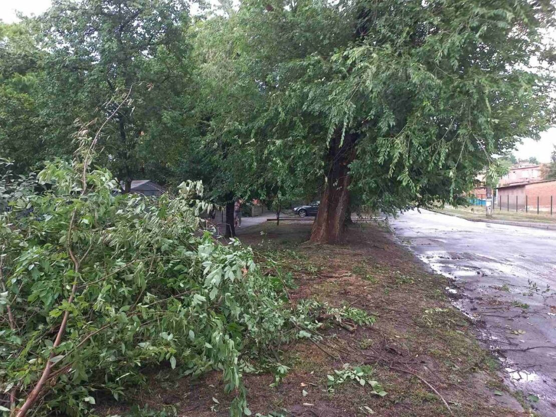 У Харкові усувають наслідки негоди (фото)