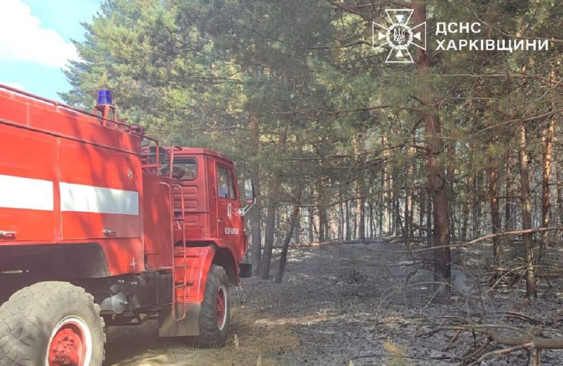 Через обстріли на Харківщині сталися дві пожежі в екосистемах