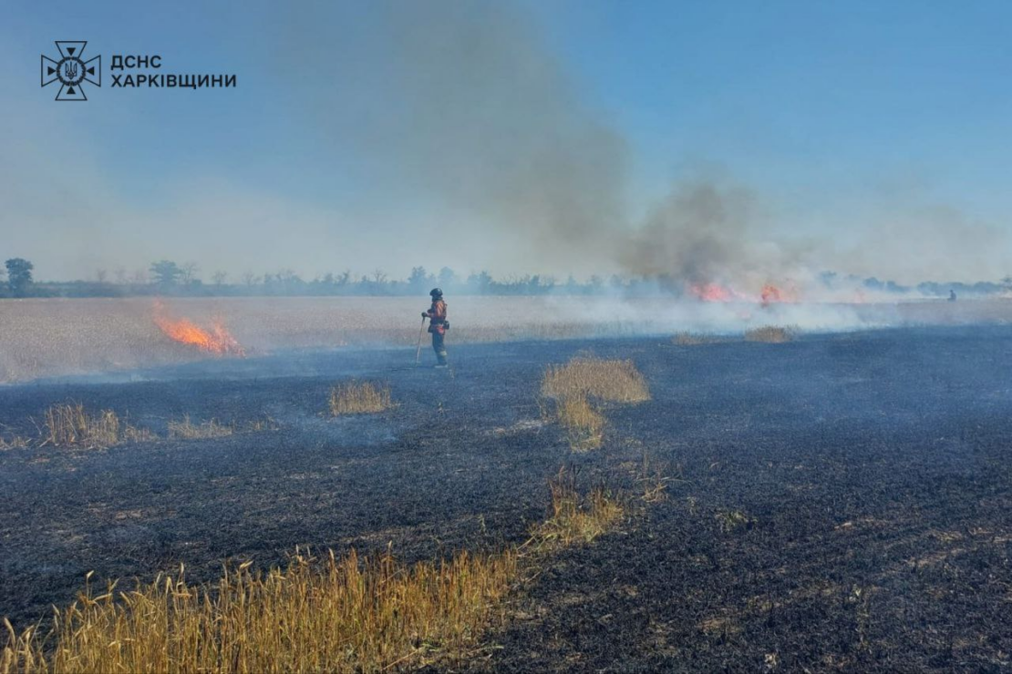 Окупанти не залишають спроб залишити Харківщину без урожаю
