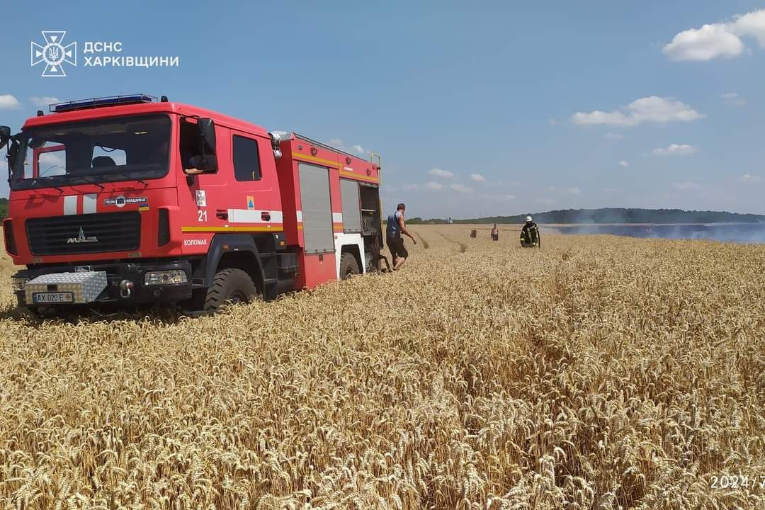 На Харківщині горіло поле з пшеницею (фото)