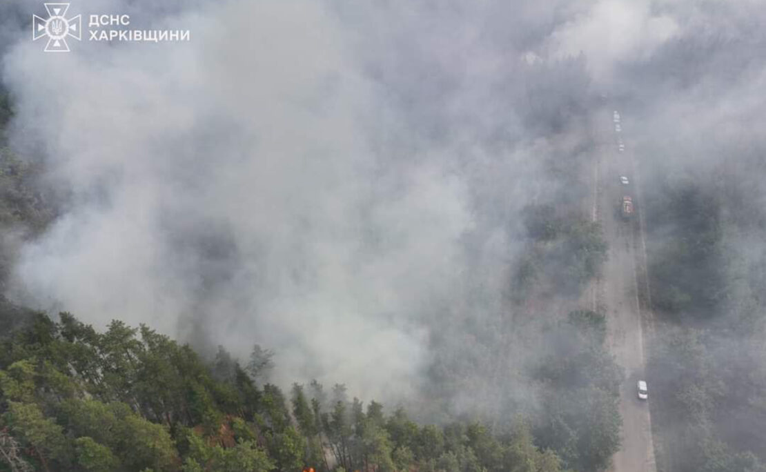 На Харківщині ліквідовують п'ять лісових пожеж