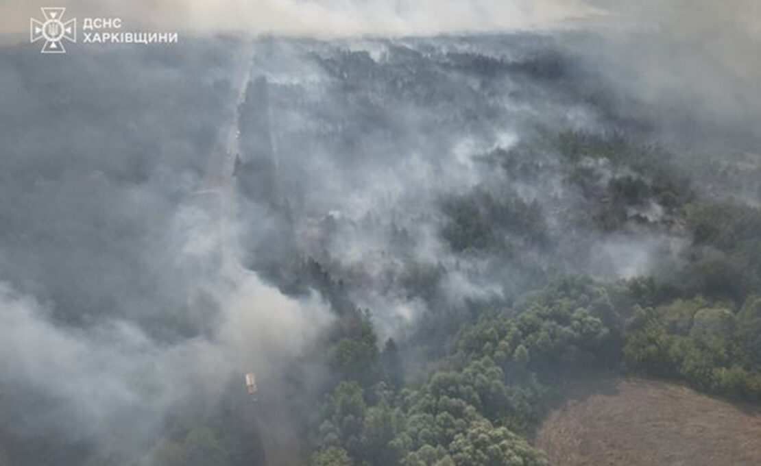 На Харківщині ліквідували масштабну лісову пожежу 