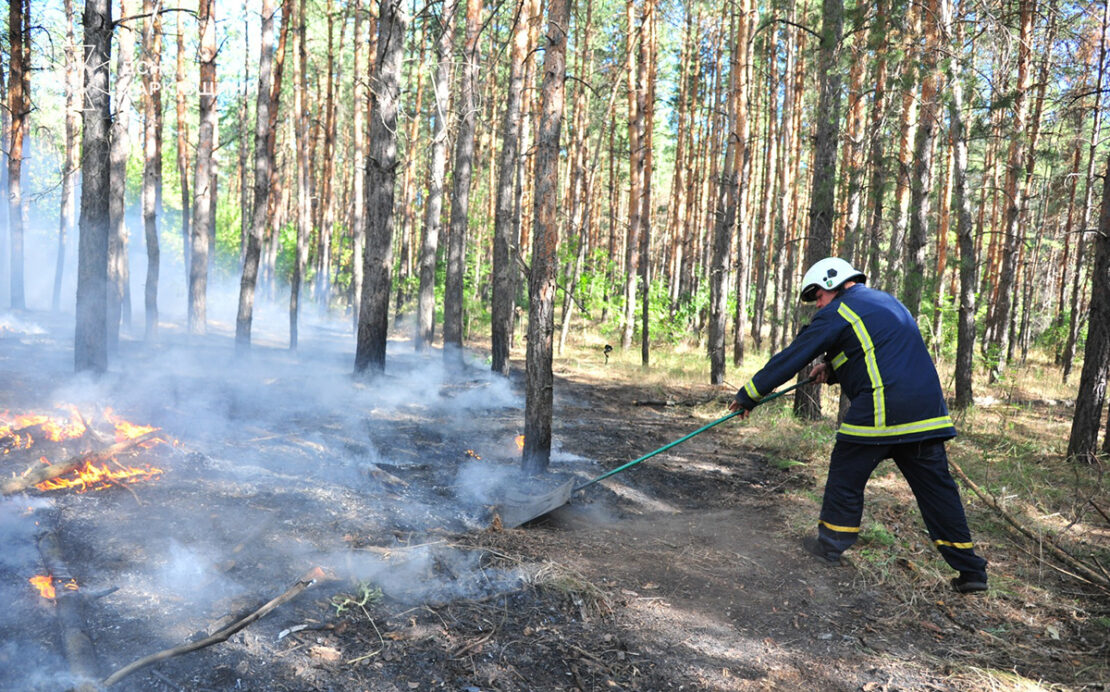 На Харківщині локалізували масштабну лісову пожежу