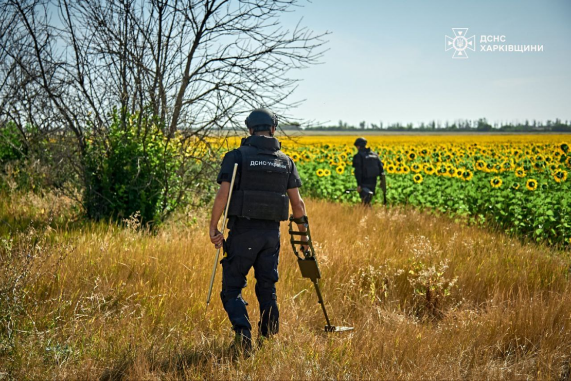 Піротехніки ДСНС проводять активне розмінування Ізюмщини (фото)