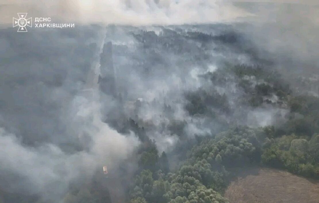 Масштабна пожежа у Балаклійському лісництві на Харківщині