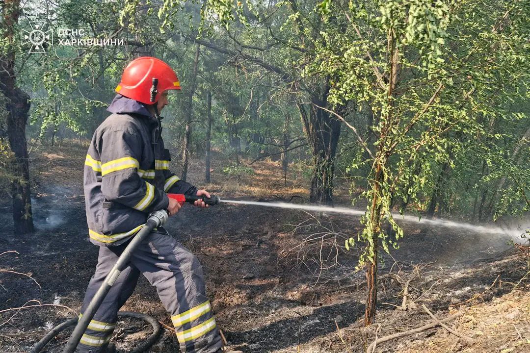 Масштабна пожежа у Балаклійському лісництві на Харківщині