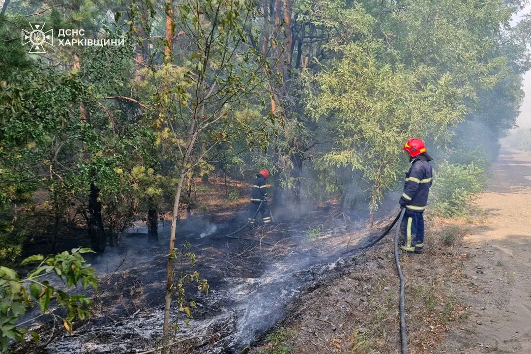 Масштабна пожежа у Балаклійському лісництві на Харківщині