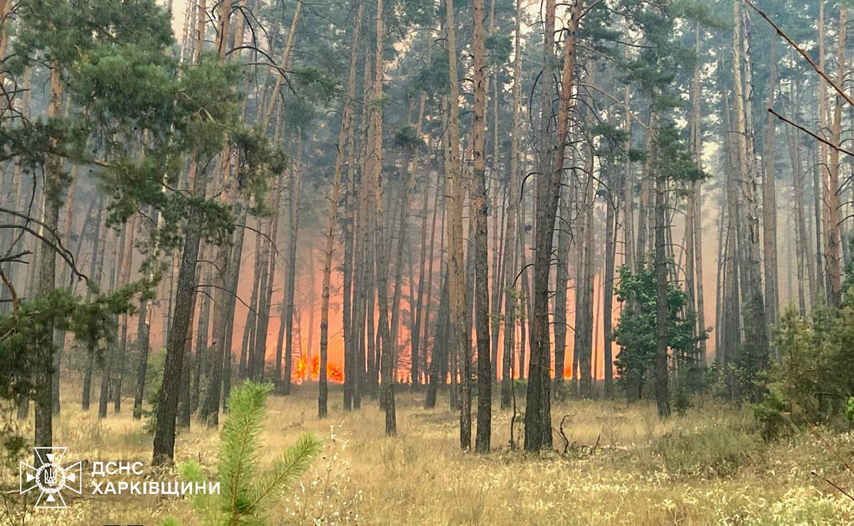 На Харківщині триває ліквідація масштабної лісової пожежі