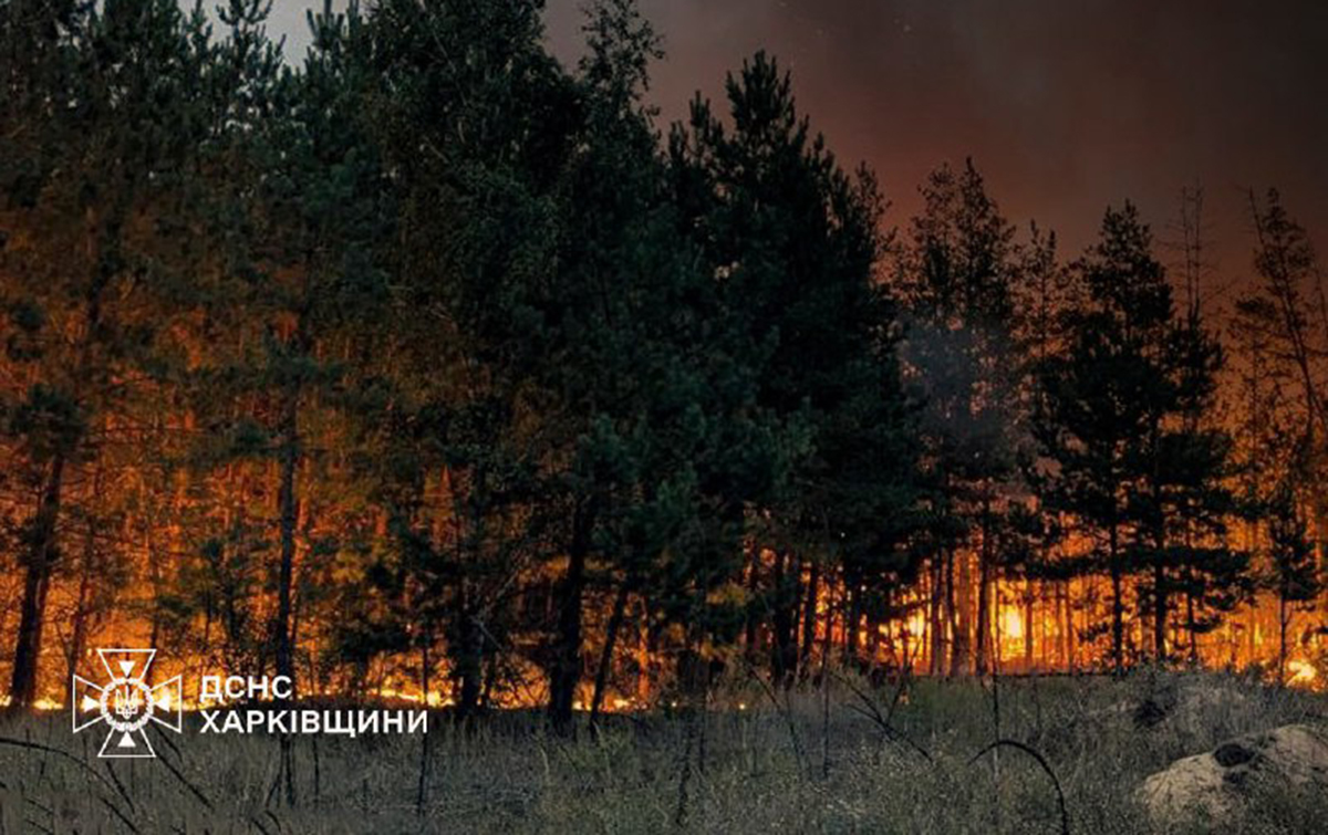 Внаслідок пожеж на Харківщині постраждали 11 людей