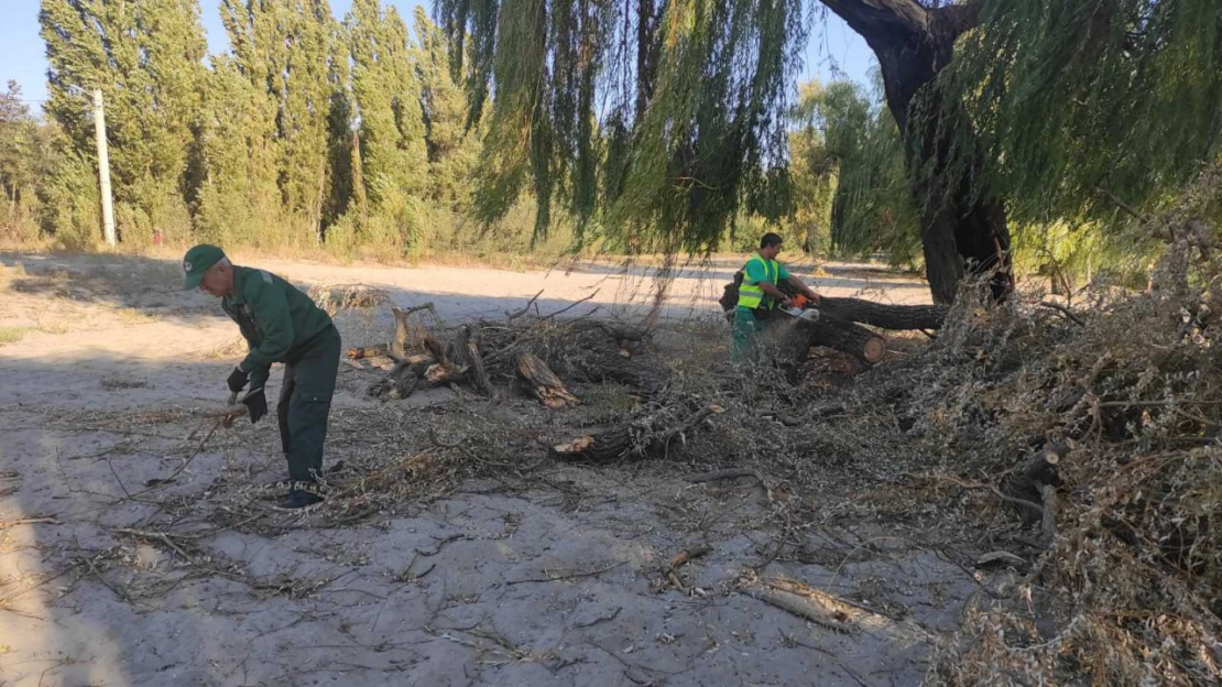 Комунальники Харкова усувають наслідки вибухів та облагороджують територію міста (фото)