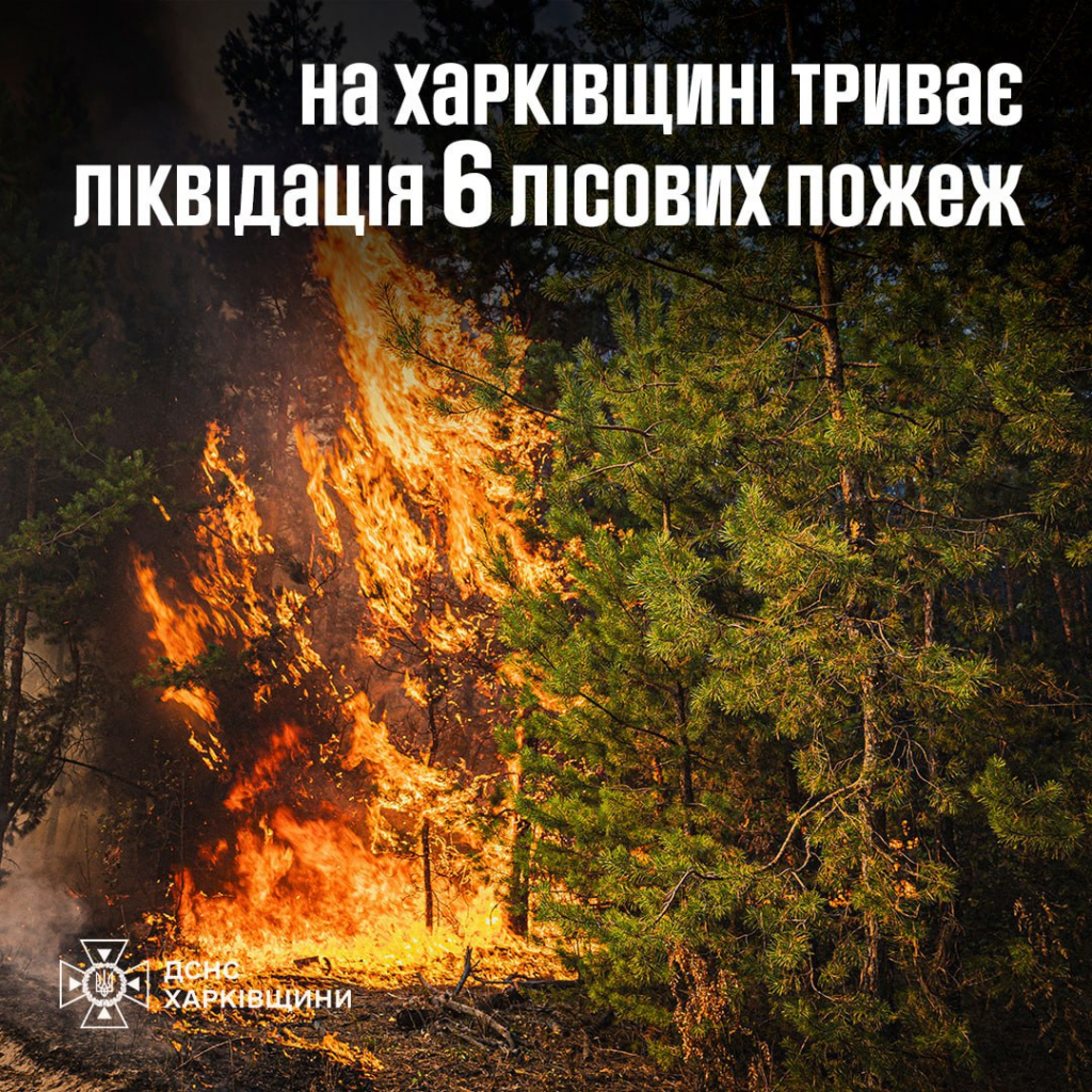 Рятувальники ДСНС гасять 6 пожеж на Харківщині