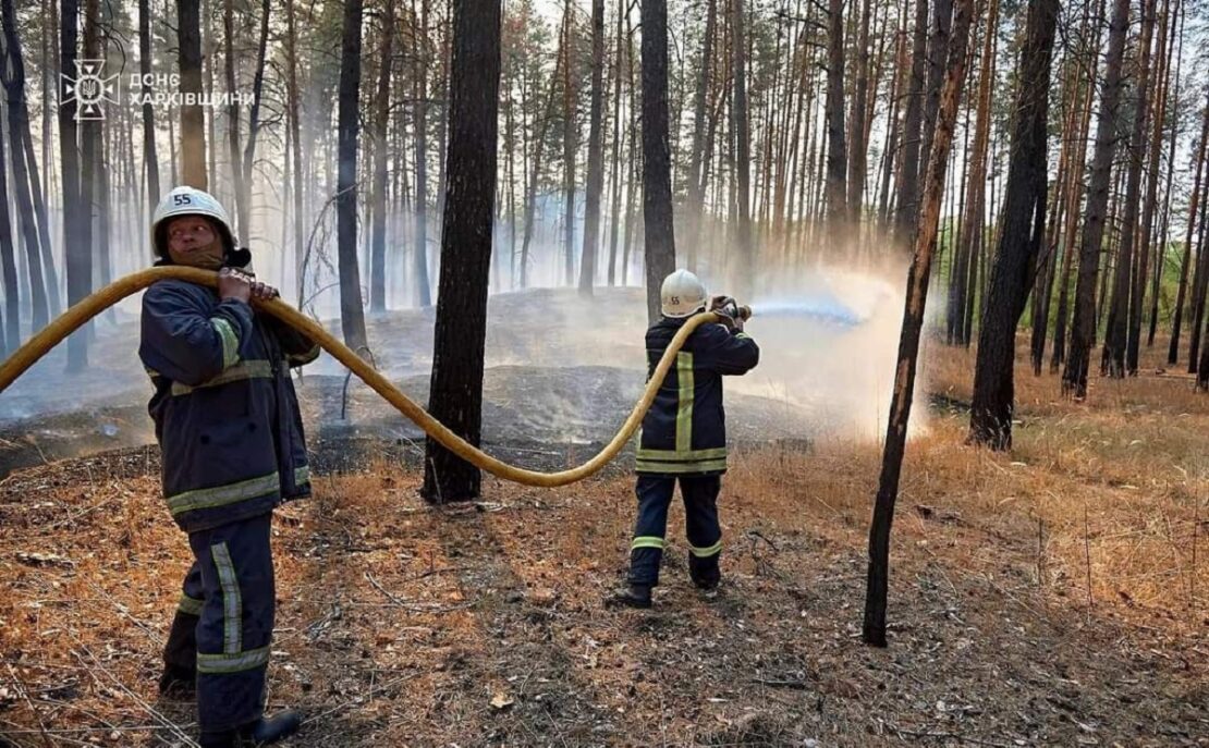 За добу ворог обстрілами випалив 3 га харківської землі