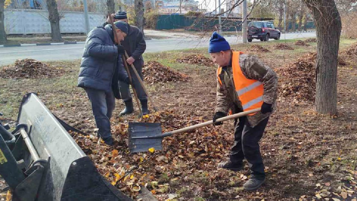 Комунальники у Харкові завершують збір опалого листя