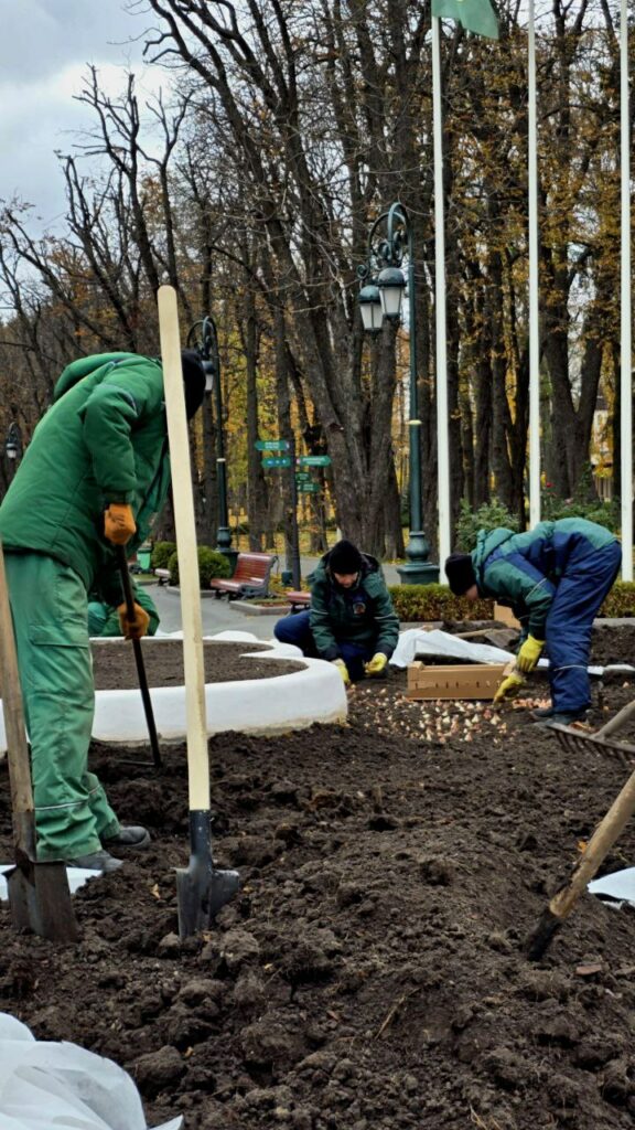 У Центральному парку Харкова висаджують цибулини тюльпанів