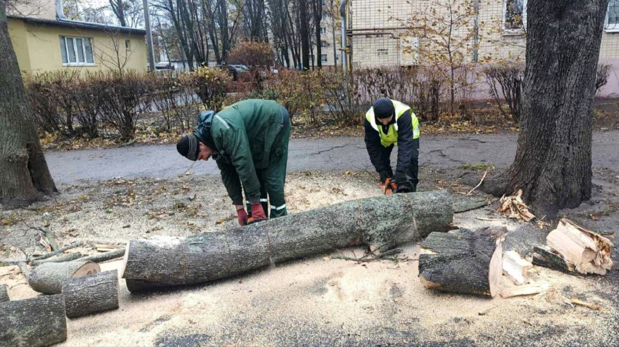 Комунальники оперативно усувають наслідки негоди у Харкові (фото)