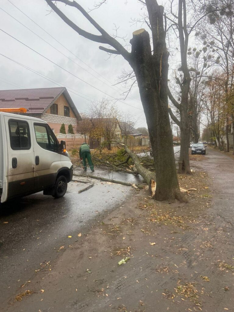 Комунальники оперативно усувають наслідки негоди у Харкові (фото)