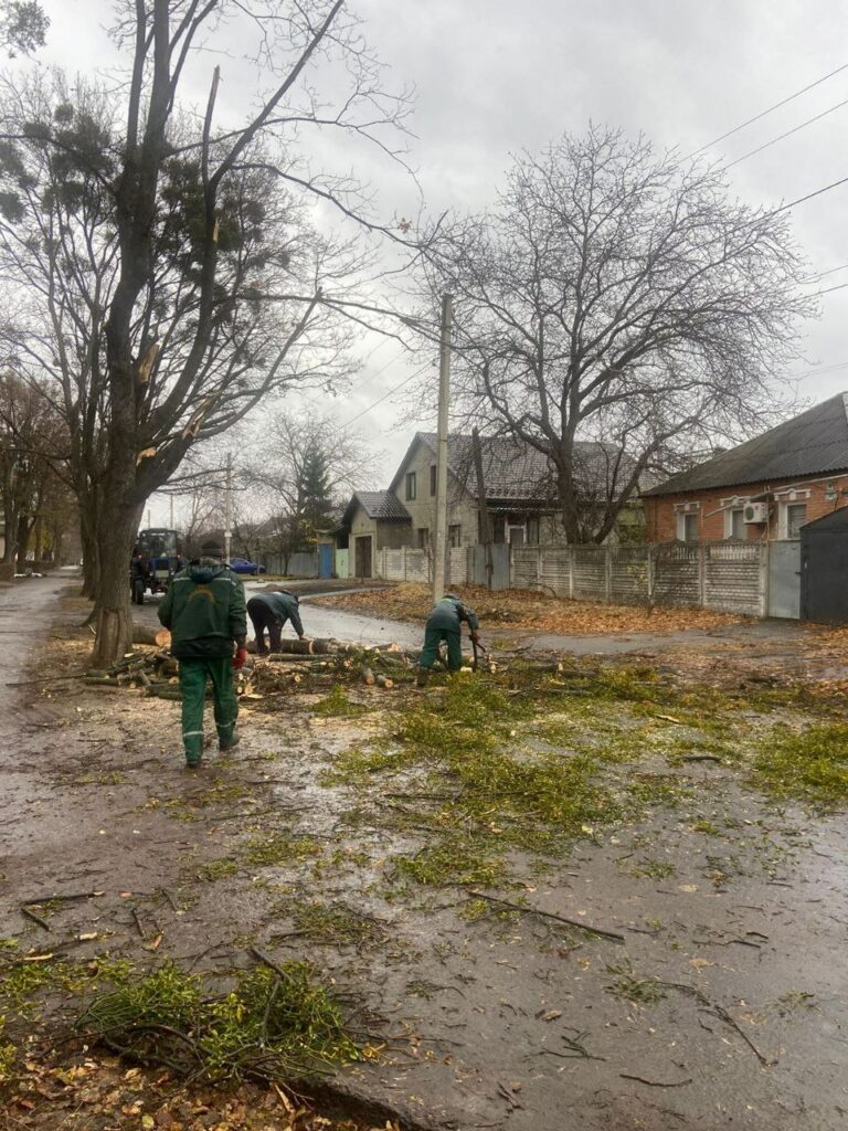 Комунальники оперативно усувають наслідки негоди у Харкові (фото)