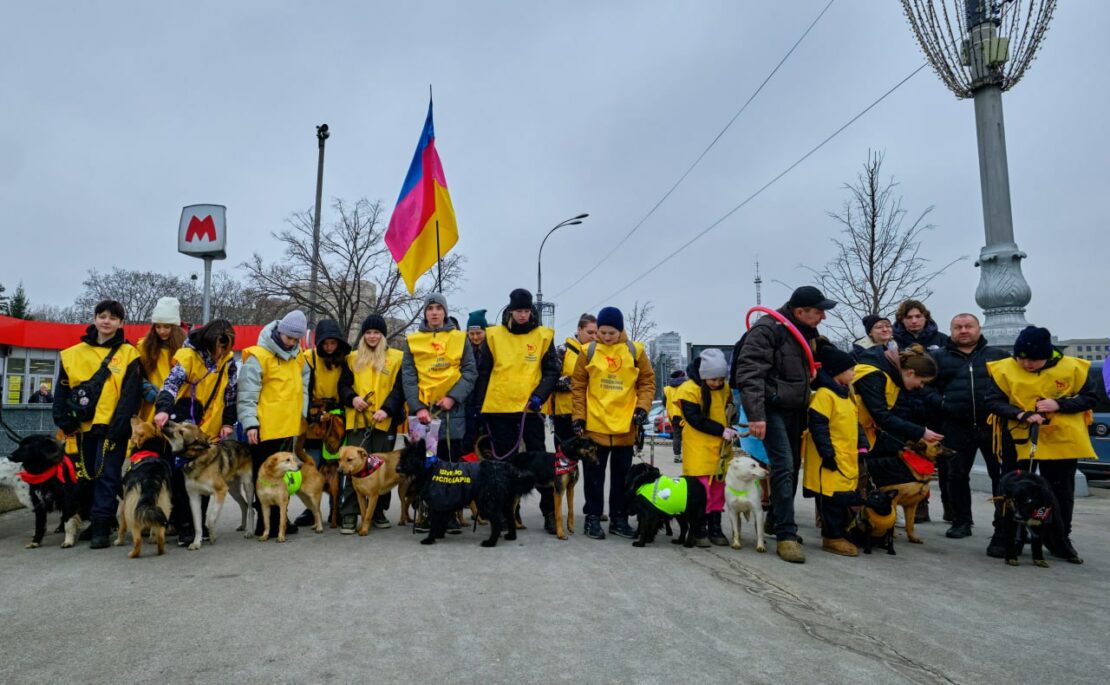 У Харкові відбулася акція «Валентинка для тваринки»