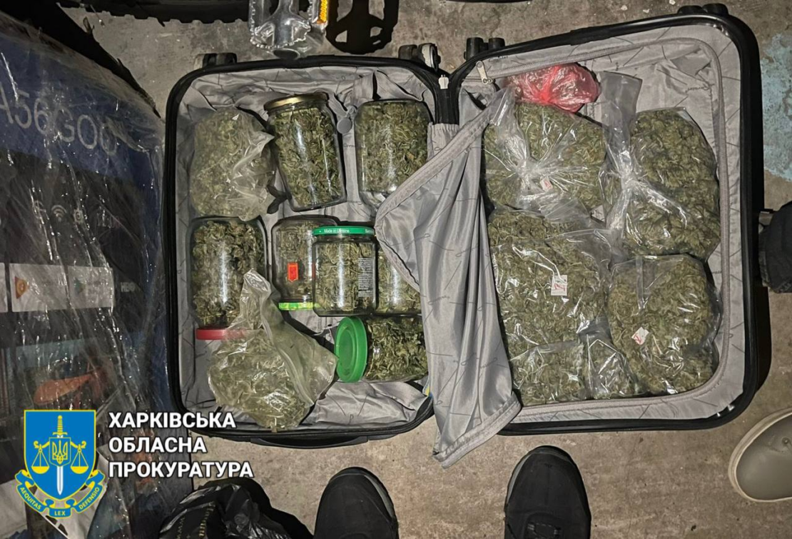 Харків'янин проведе 6 років за ґратами за вирощування канабісу з метою збуту