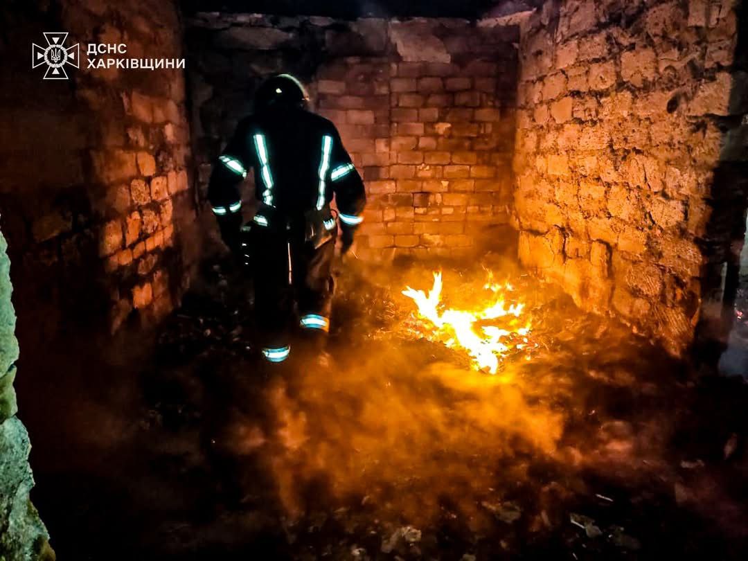 У Берестинському районі Харківщини на пожежі загинули троє людей