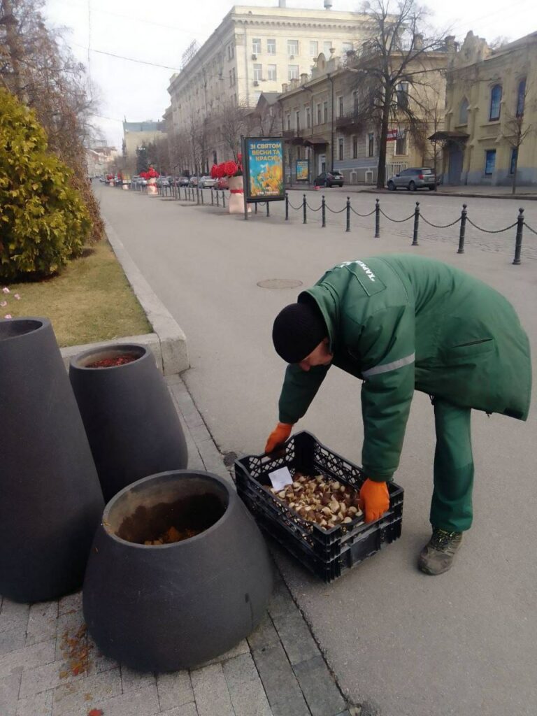 У Харкові триває акція «Зелена весна» (фото)