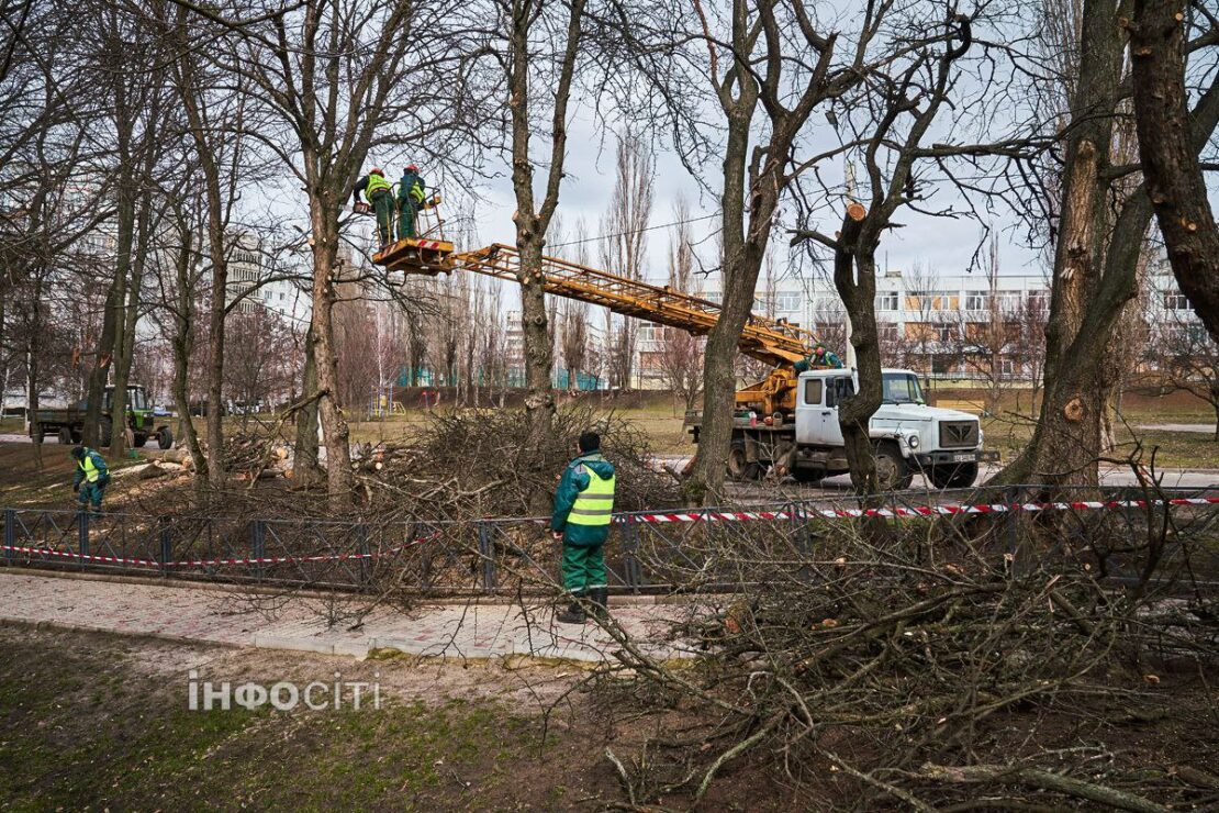 Харківські комунальники виконують санітарну обрізку дерев (фото)