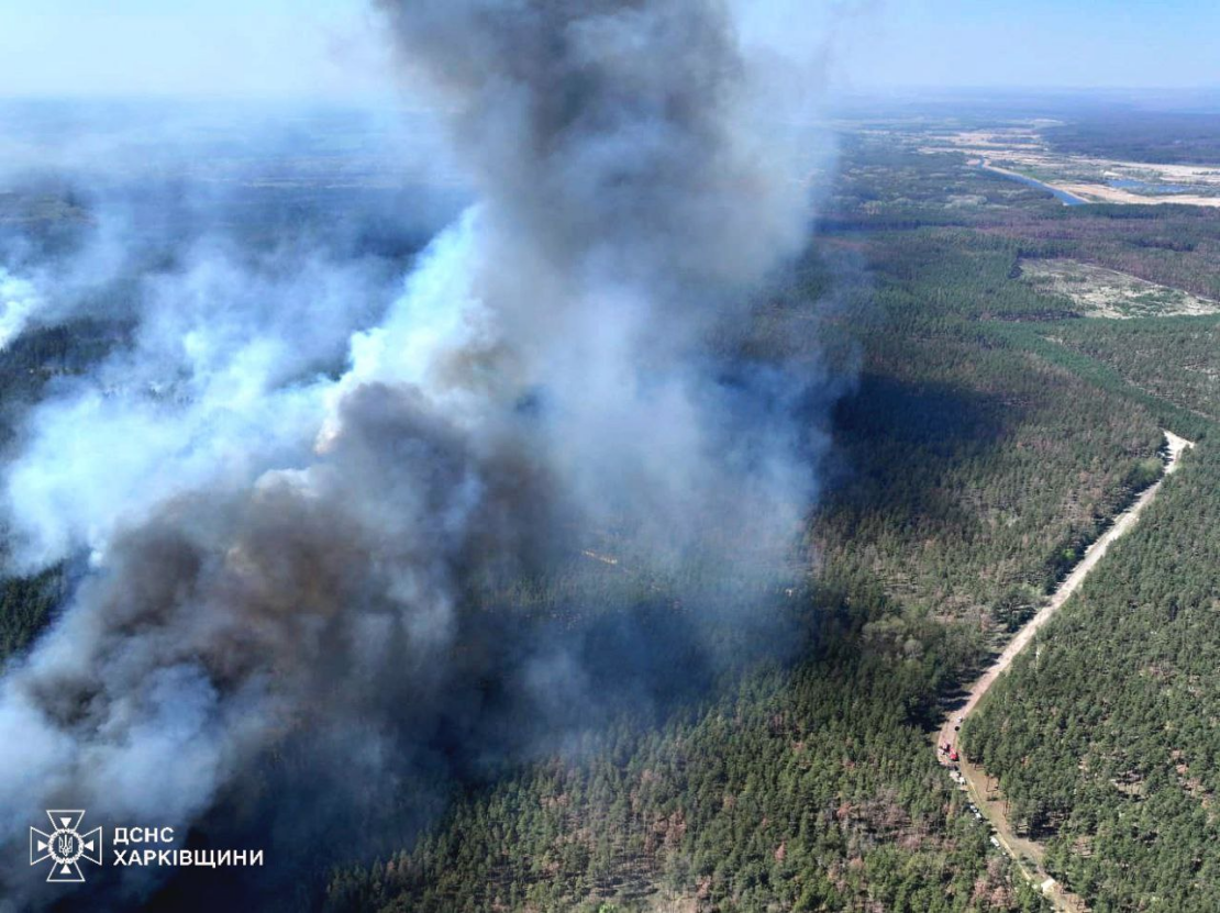 Співробітники ДСНС гасять пожежу в Ізюмському районі
