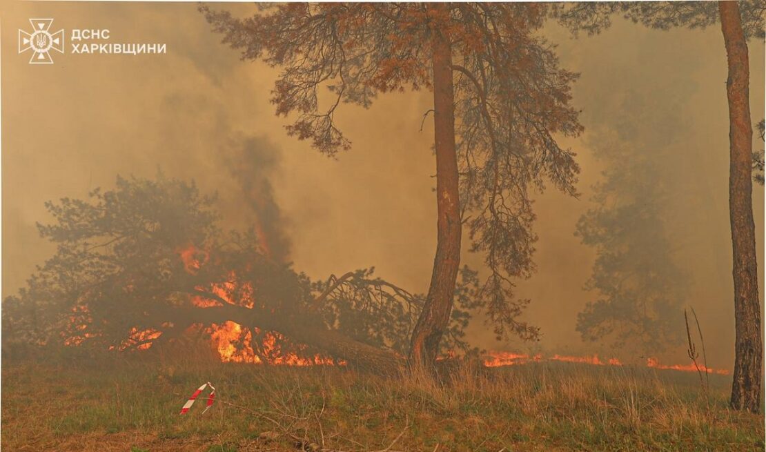 Триває ліквідація масштабної пожежі у Балаклійському лісництві
