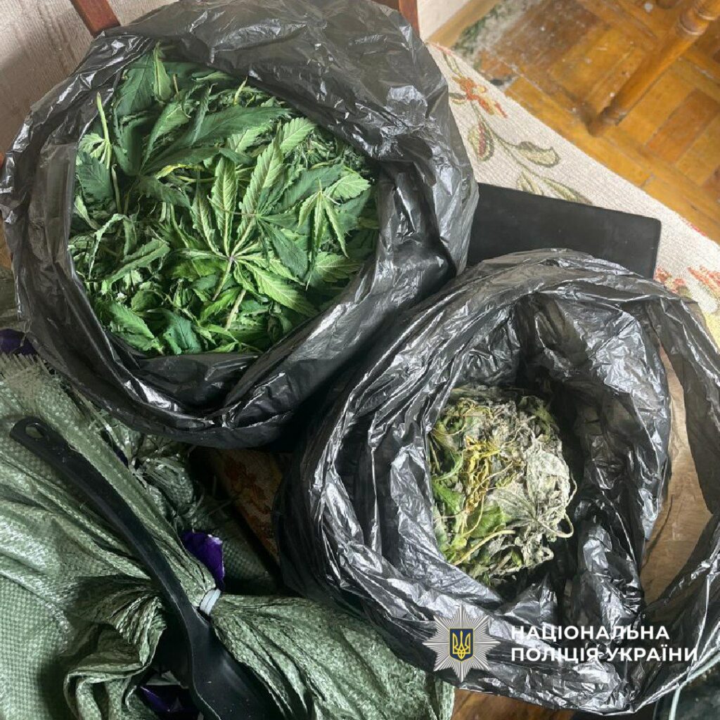 Житель Харкова вирощував у квартирі коноплі