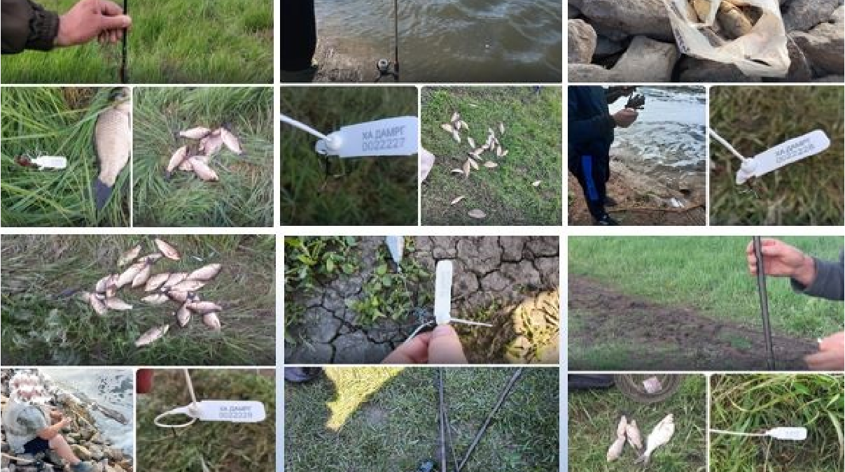 На Харківщині викрили 15 рибалок-браконьєрів