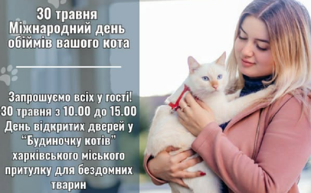 Харківський притулок для тварин кличе на День відкритих дверей