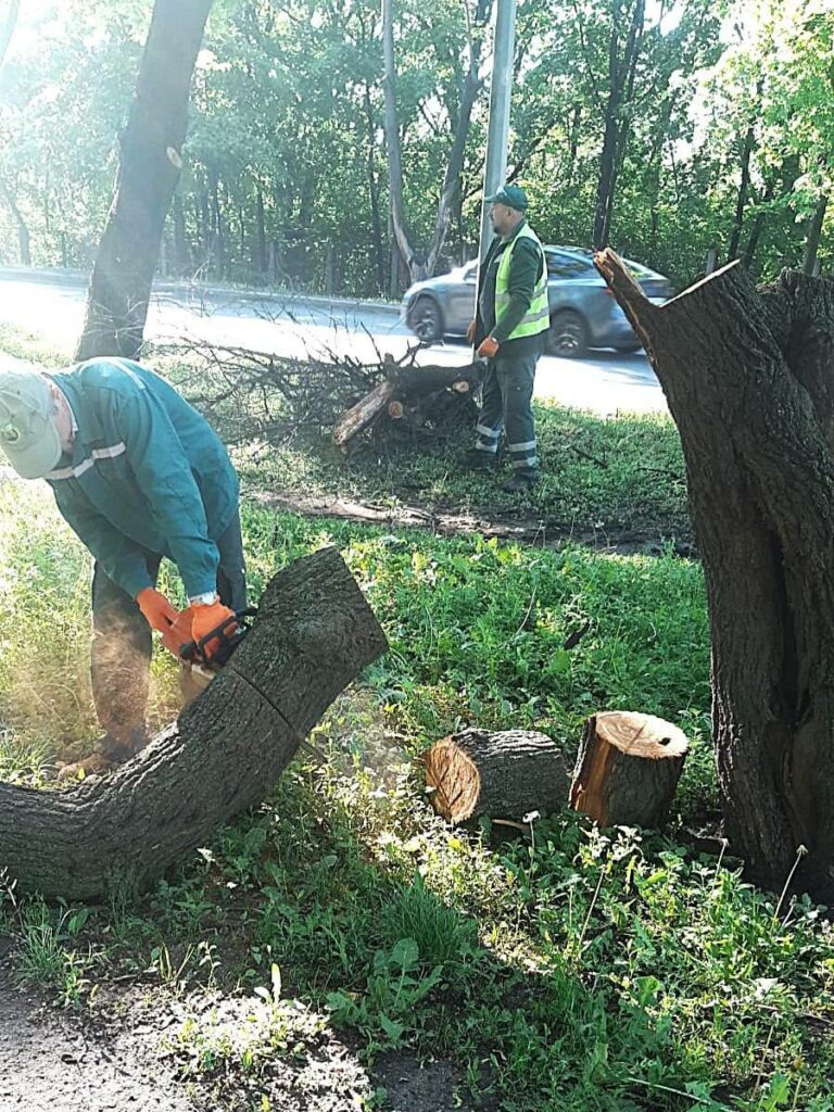 Синоптики попереджають харків'ян про негоду