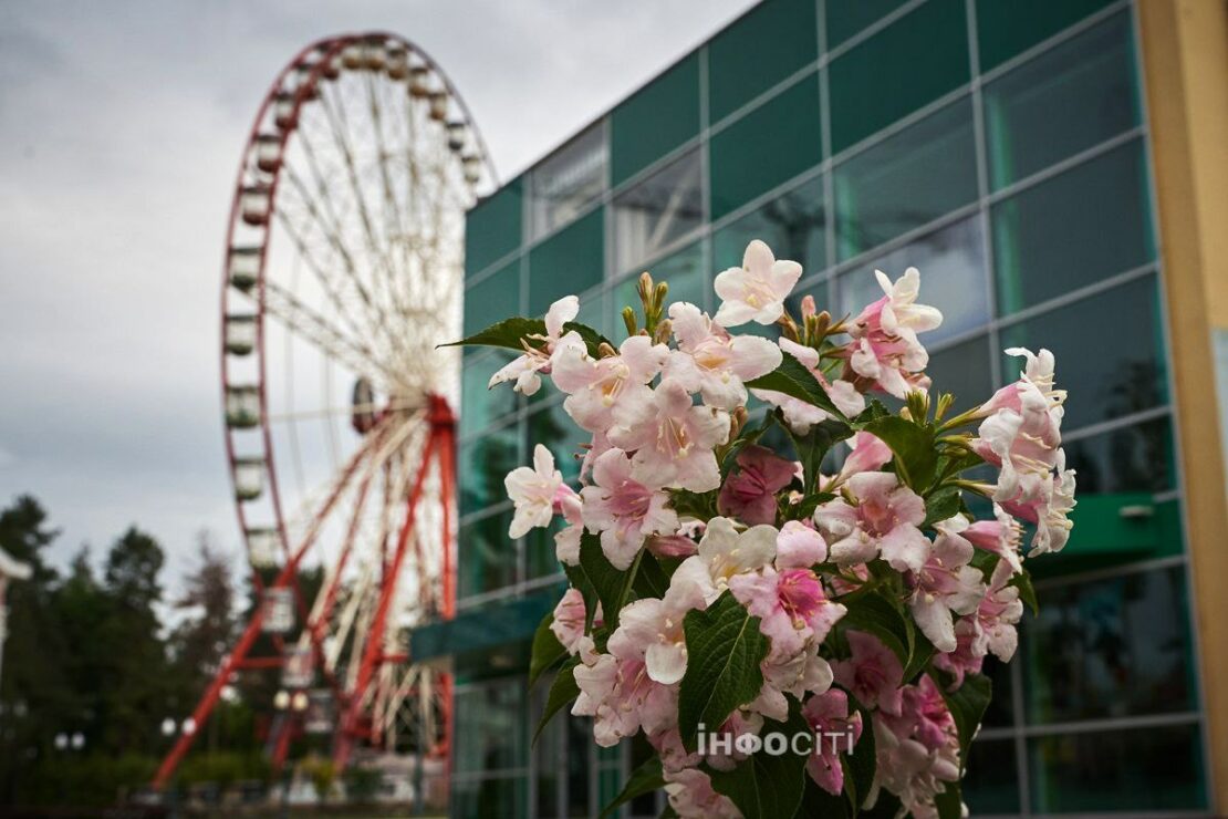 Центральний парк після дощу в Харкові (фото)
