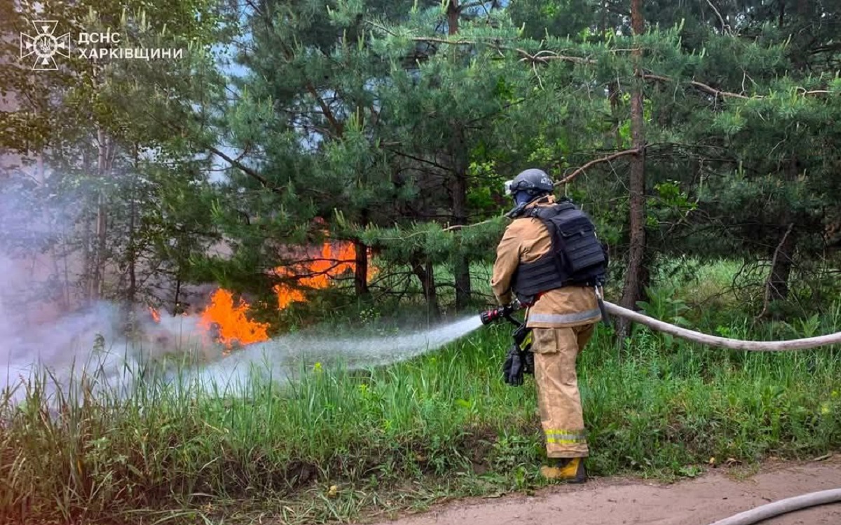 У Харківській області горять ліси (фото)