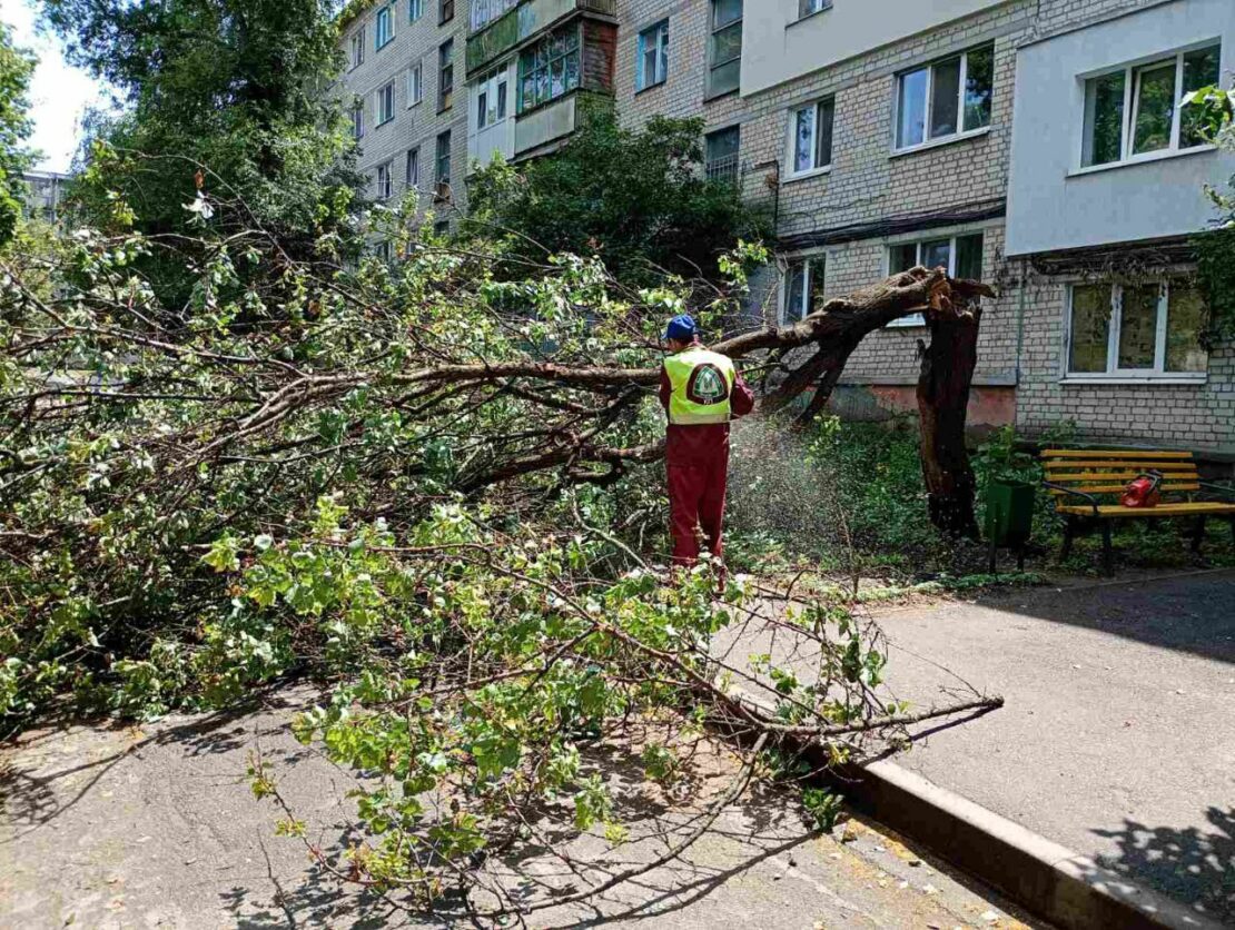 Комунальники ліквідовують наслідки негоди у Харкові (фото)