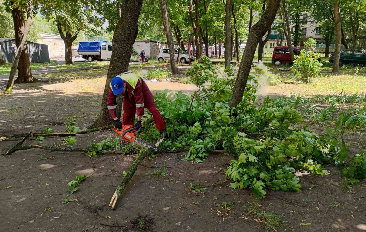 Сильний вітер у Харкові: комунальники усувають наслідки негоди