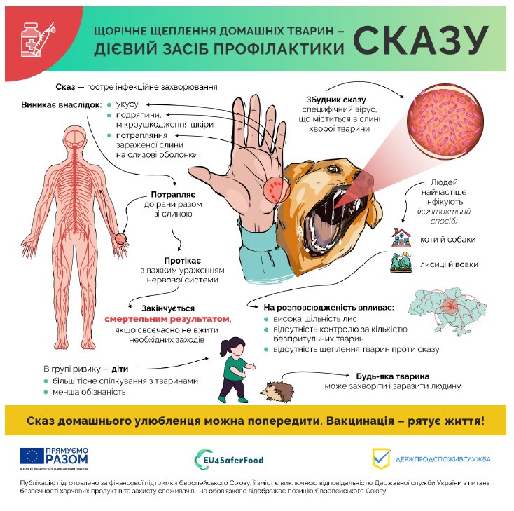 Вакцинація домашніх тварин від сказу у Харкові в червні 2025