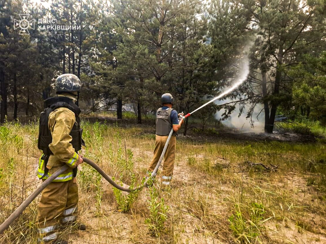 На Харківщині горять ліси після обстрілів (фото)