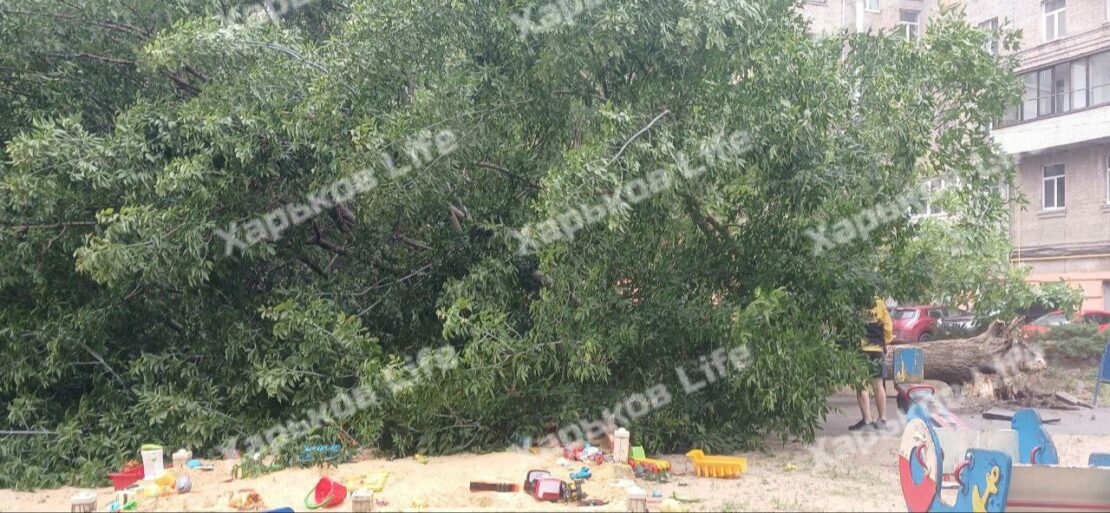 Комунальники ліквідовують наслідки негоди у Харкові (фото)